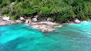 Chinese relaxing music bamboo flute harp traditional instruments zen meditation (No Copyright)