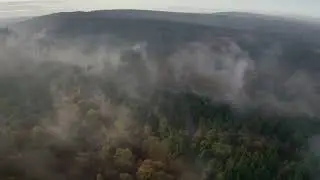 Misty Forest 9