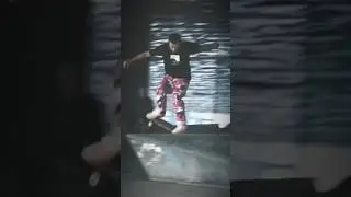 Nose manual to 50-50 #shorts