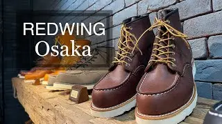 Redwing Osaka