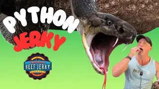 I’M EATING A PYTHON????