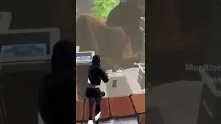 400 IQ kill on FORTNITE !