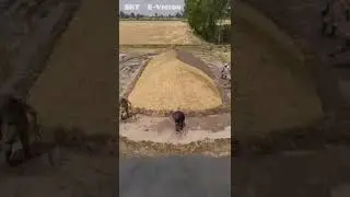 protection cover #shorts #viral #shortvideo