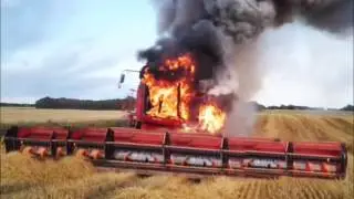 Юмор, приколы