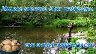 В поисках места для новой избушки, сбор грибов и ловля хариуса