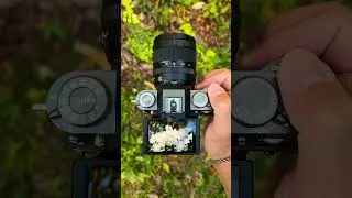 is this the best fujifilm camera? Fujifilm X-T50! #fujifilm