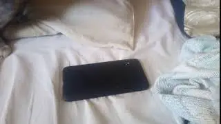 my cat's reaction to HOME - resonance