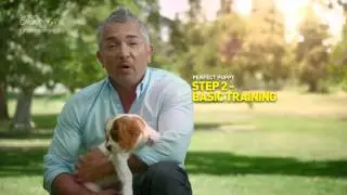 Cesar Millan doggy tips with GALAXY S4   Perfect puppy