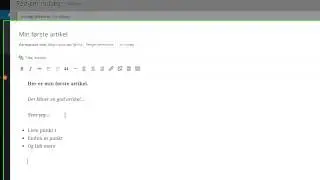 WORDPRESS 07   - Hvad kan editoren?