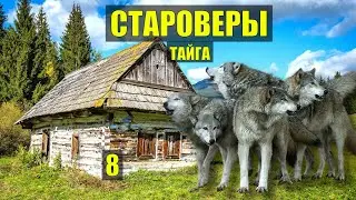 ТУПИК УБЕЖИЩЕ СТАРОВЕРОВ в ЛЕСУ РАСКОЛЬНИКИ ДОМ ИЗБА АУДИОКНИГА ИСТОРИИ из ЖИЗНИ РАССКАЗЫ СЕРИАЛ 8