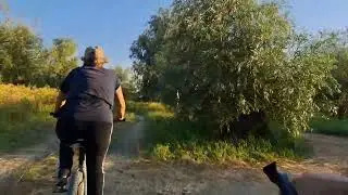 На двух великах по займищу