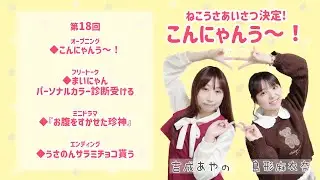 ⭐️第18回目⭐️『まいなとあやののねこうさ日和』