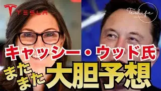 キャッシー・ウッド氏のArkによると、テスラは1兆円規模の宅配ロボット市場に参入予定！