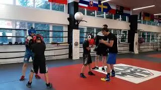 БОКС