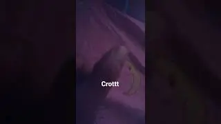 crott