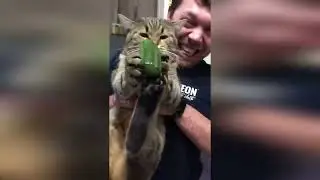 СМЕХ приколы людей и животных 13