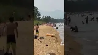 Die Bären im Urlaub.