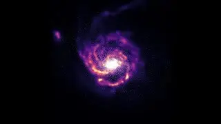 Simulating disk galaxies inside a cosmological volume