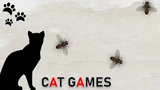 Cat Games Fly Catching Flies Game For Cat