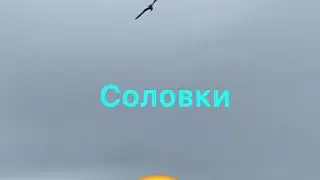 Вперёд на Соловки! День шестой! Круиз от компании «ВодоходЪ»