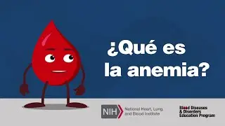 ¿Qué es la anemia?