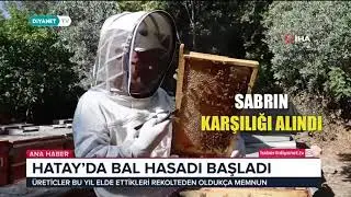 Hatay da Bal Hasadı
