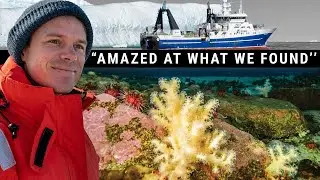Explosion of life found in Antarctic waters