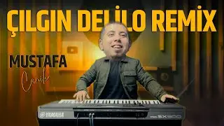 Çılgın Delilo Remix Mustafa Canik