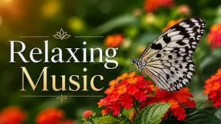Relaxing Music, Relaxing Piano Music, Relaxing Music Videos