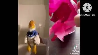 Donald screams like the PS2 Startup