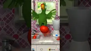 talking pierre old version