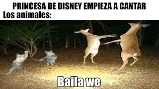 MEMES DE ANIMALITOS #4