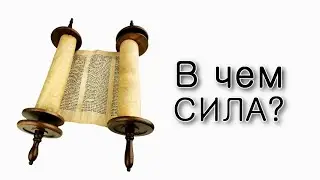 Как черпать силы из Торы?