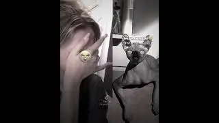 😭 #глобальныерекомендации