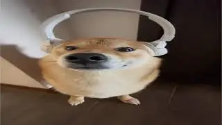 а что слушаете вы?