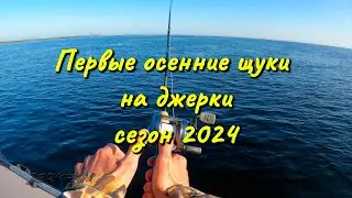 Первые осенние ЩУКИ на ДЖЕРКИ/сезон 2024