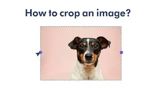 How to crop images
