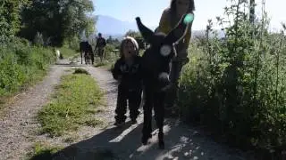 Our Small Donkey Gaia Needed a Little Push