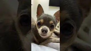 Оговтався тато 🥹