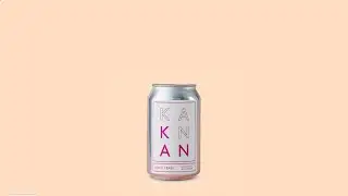 KANKAN Seedrs Campaign Video - Catch Creative