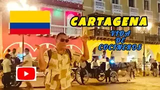 Siempre es hermoso volver a Cartagena de Indias 🫶♥️🫶#cartagena #colombia