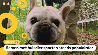Klaar voor de start, Waf! Chinese honden en baasjes racen samen
