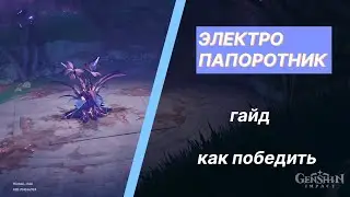 КАК УБИТЬ ЭЛЕКТРО ПАПОРОТНИКА || ГЕНШИН ИМПАКТ ГАЙД