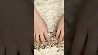 focaccia