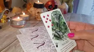 GEMENI LENORMAND 2020 LUNĂ DE LUNĂ