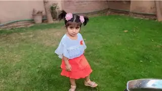 Little Life Moments