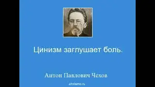 Цинизм как восприятие жизни