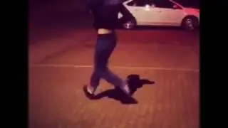 Dance Dag
