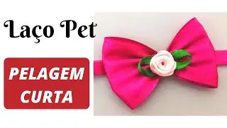 COMO ADAPTAR LAÇOS PET 🎀 🐾 LAÇO DE PESCOÇO | LAÇO PET PARA PELO CURTO