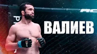Тимур ВАЛИЕВ | Сехудо и Усман ездят в Колумбию | Конор залетал на тягах | День бойца | Панаехали